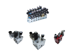  Manifold with Valves Series